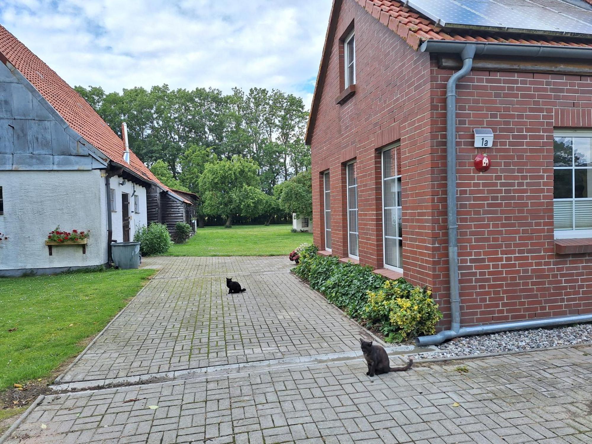 Das Apfelhaus Rappin Esterno foto